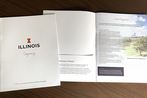 Photo of Illinois Beginnings book cover